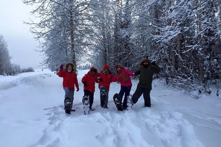 Snowshoe Tour at Chena Lakes image