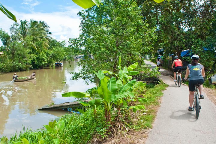 Cai Rang Floating Market Private Day Tour from Ho Chi Minh city image