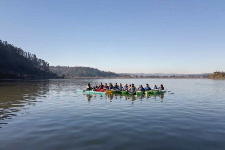 Tour en Kayak por el Río Bio bío image