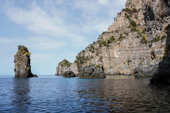 Boat excursions image