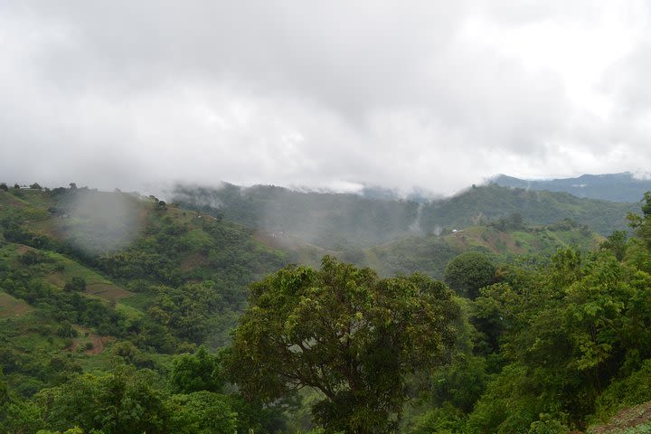 Paramin Mountains Jeep Tour image