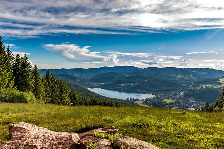 Black Forest and Rhine Falls Day Trip from Zurich image