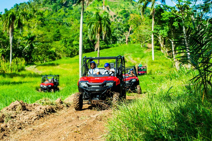 Jungle Buggies + Ziplines Adventures image