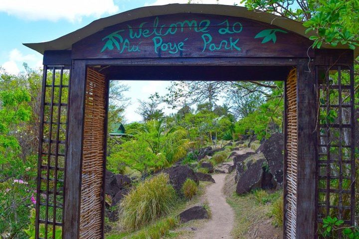 Gros Piton Hike St Lucia image