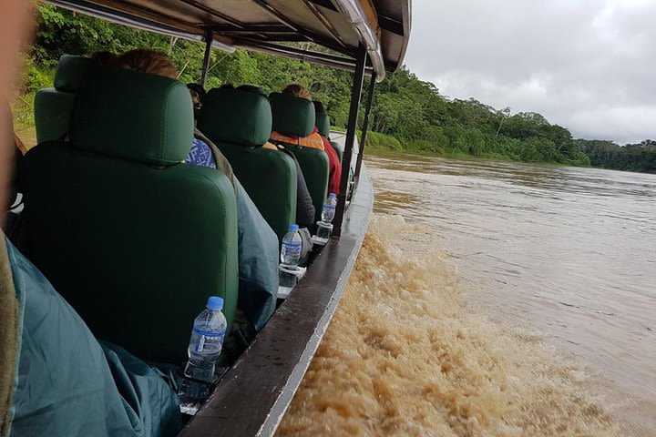 Best of Tambopata 3 Days 2 nights with Chuncho Macaws clay lick image