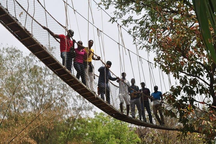 Lekki Conservation Center Extraordinary Tour image