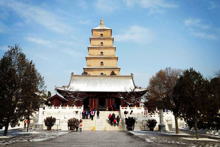 Xian Group Tour of Terracotta Army Museum and Big Wild Goose Pagoda image