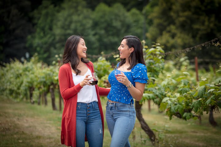 Snoqualmie Falls and Seattle Winery Tour image