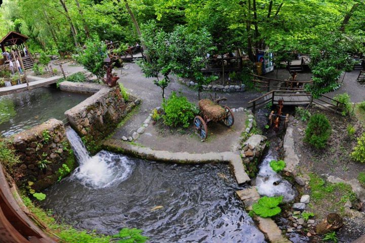 Sapanca Lake & Masukiye Zoo Tour with Lunch image