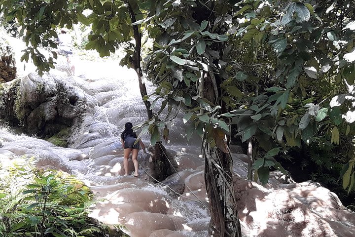 Small-Group Visit to the Long Neck Hill Tribe and Sticky Waterfall image