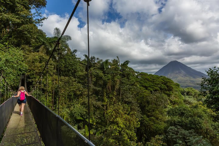 Arenal Highlights (Hanging Bridges, Fortuna´s Waterfall, lunch & Arenal Volcano) image