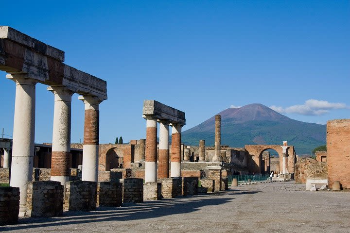 Vesuvius, Pompeii Ruins, experience vineyards and the winery tour with lunch. image