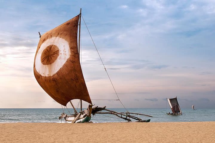 Negombo City And Fishing Village Private Day Tour image