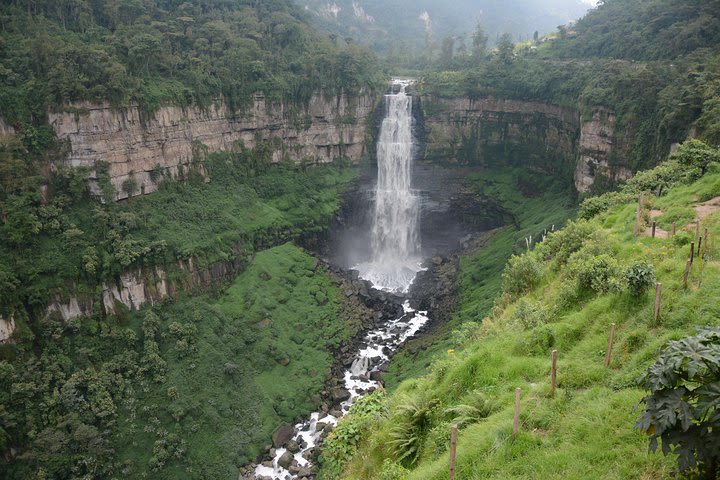 Colombian Coffee tour - Daily and group tour image