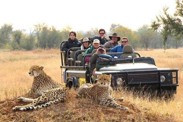 Kruger Group Safari 6 Day & 5 Nights Lodge ,Treehouse Safari image