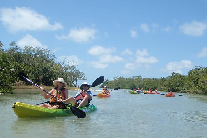 Guided Kayak Eco Tour Pelican Bay image