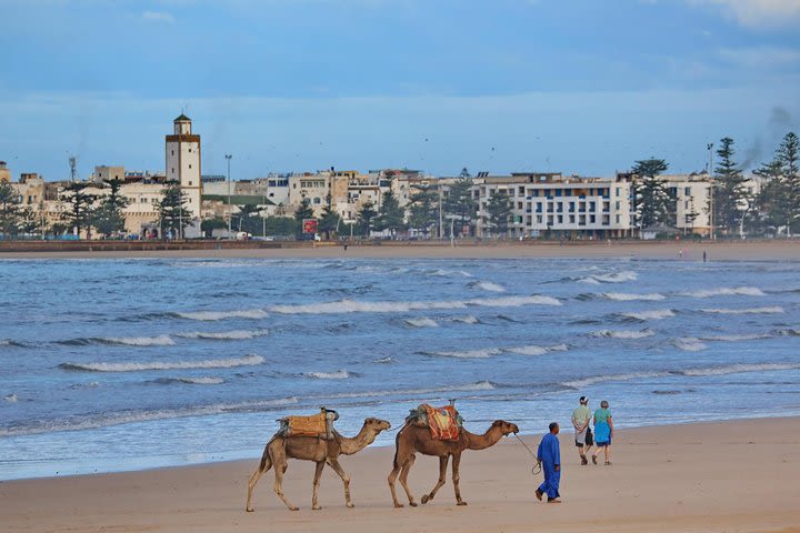 Private excursion to Essaouira on the Atlantic coast, from Marrakech image