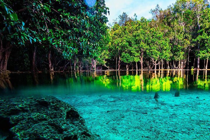 Krabi Jungle Tour with ATV Riding image