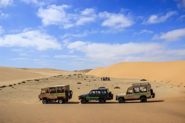 African Safari Adventure in Namibia image