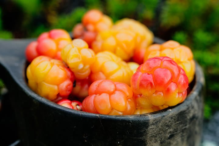 The Wilderness image