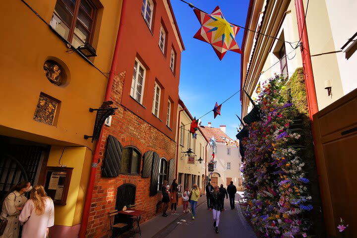 Vilnius Old Town and Užupis Republic - Private Walking Tour image