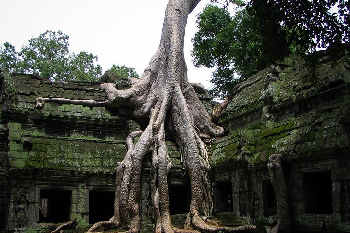 1-Day Angor Wat Small Circuit Tour with Sunset image