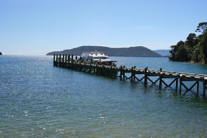 Full-Day Marlborough Catamaran Cruise with Wine Tour and Lunch image