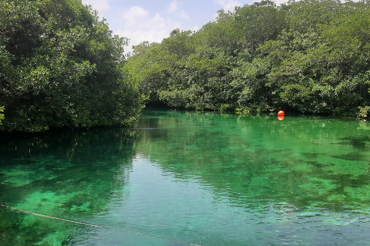 Private Cenotes tour image