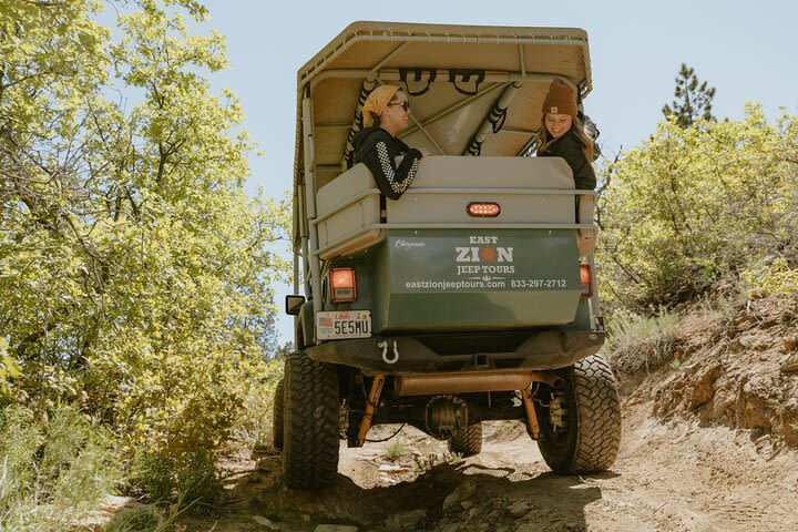 East Zion Brushy Cove Jeep Tour image