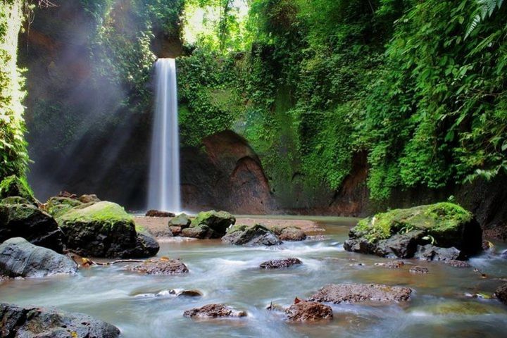 Full-Day Private Nature and Cultural Tour in Bali image