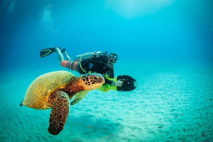 Kauai's Ultimate Scooter Adventure 2 Tank Dive (Advance Certified Divers Only) image