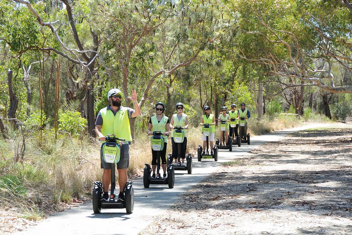 Kings Park Segway Tour image