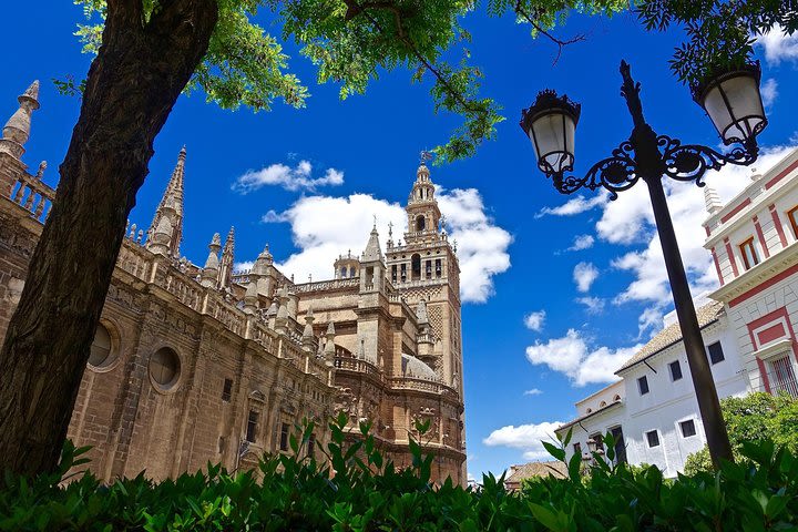 Seville Cathedral and Giralda Tower Guided Tour image
