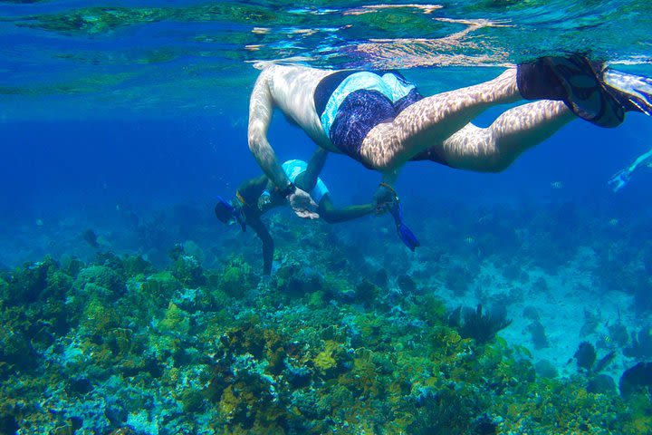 Glass Bottom Boat Ride/Snorkeling/Booby Cay Island from Grand Palladium Lucea image