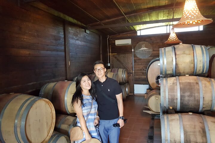 Wine tasting in the Vesuvius National Park image