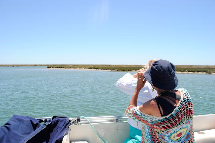 Short boat trip of the Algarve's Ria Formosa lagoon from Faro: 45 minutes image