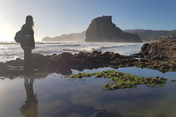 Piha Explorer image