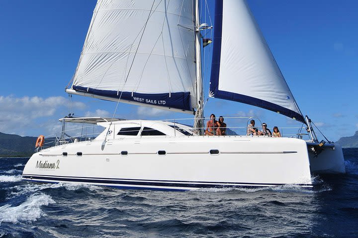 Sailing Catamaran Cruises image