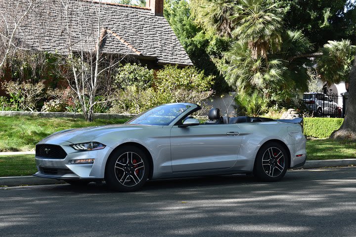 Premium VIP Mustang Tour (3 hours) image