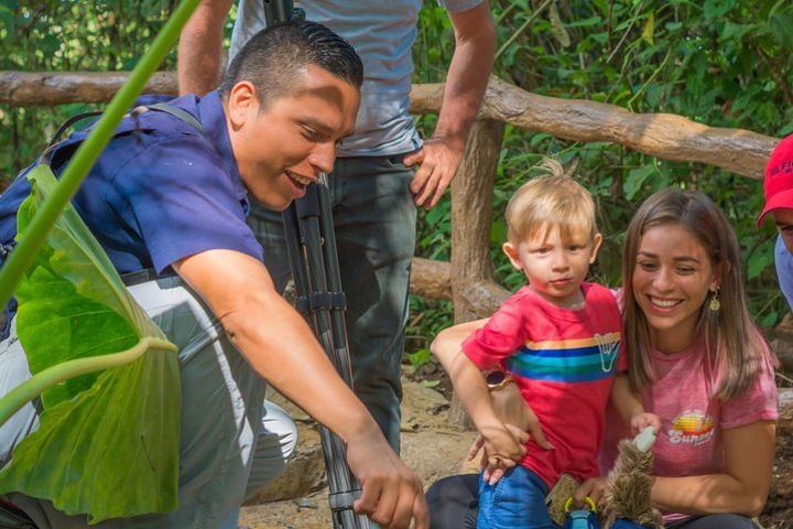 Sloth Watching Tour Experience Costa Rica image