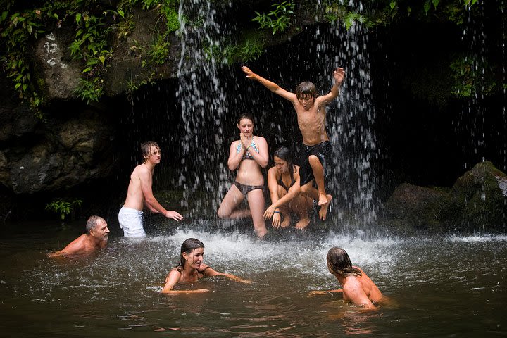 Big Island Kohala Zip and Dip Tour from Kona image