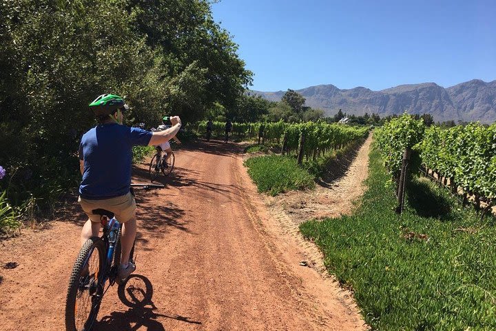 Franschhoek Experience Half Day - Private Tour image