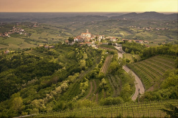 Goriska Brda & Vipava valley wine tour | Private trip from Ljubljana image