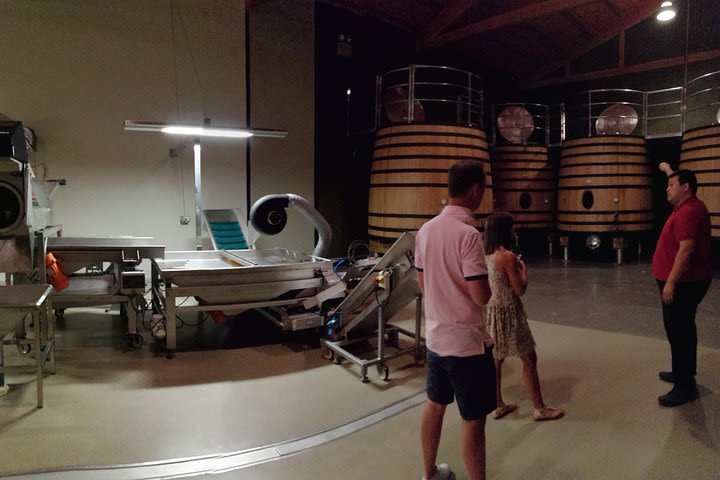 Visit a winery in Rioja  image