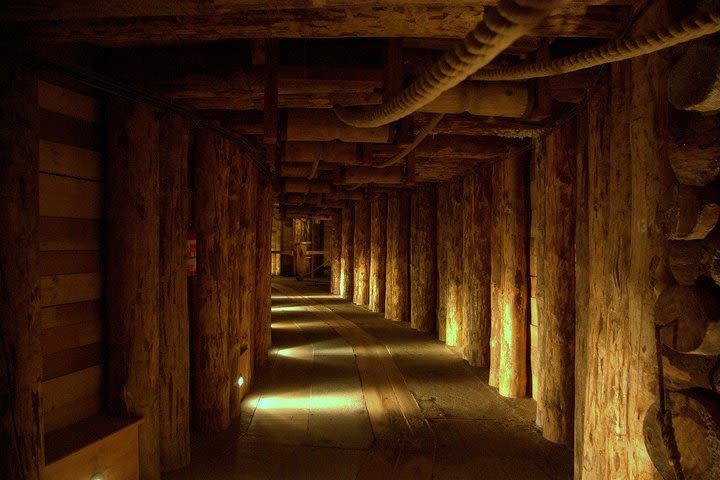 Guided Tour of Salt Mine from Krakow image