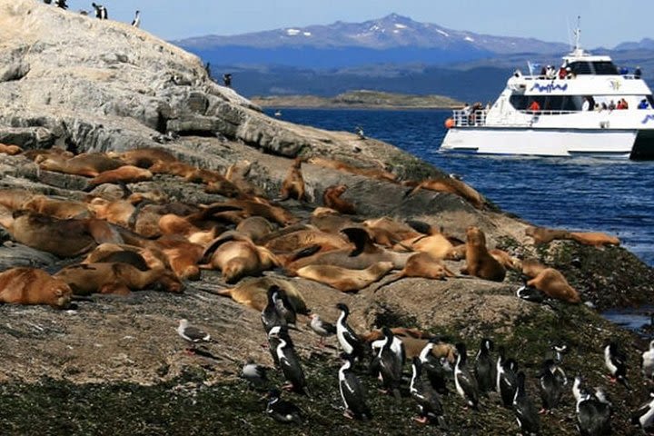 Beagle Channel Navigation - Sea Lions Island image