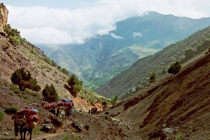 Best 2 Day Mt. Toubkal Trekking Tour from Marrakech image