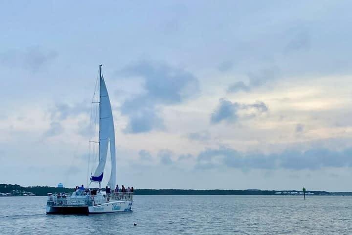 Orange Beach Dolphin Sailing Cruise aboard Catamaran image