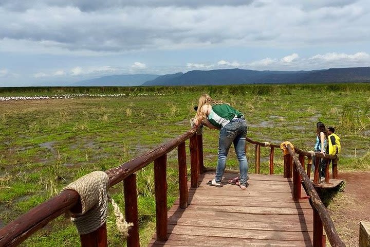 Tanzania Affordable Customize Safari - 3 Days Ngorongoro|Tarangire|Lake Manyara  image