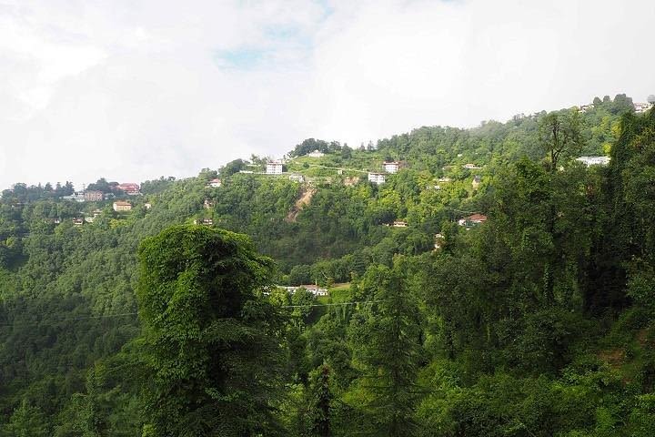 Mussoorie Heritage Walk | Kulri & Camel`s Back image